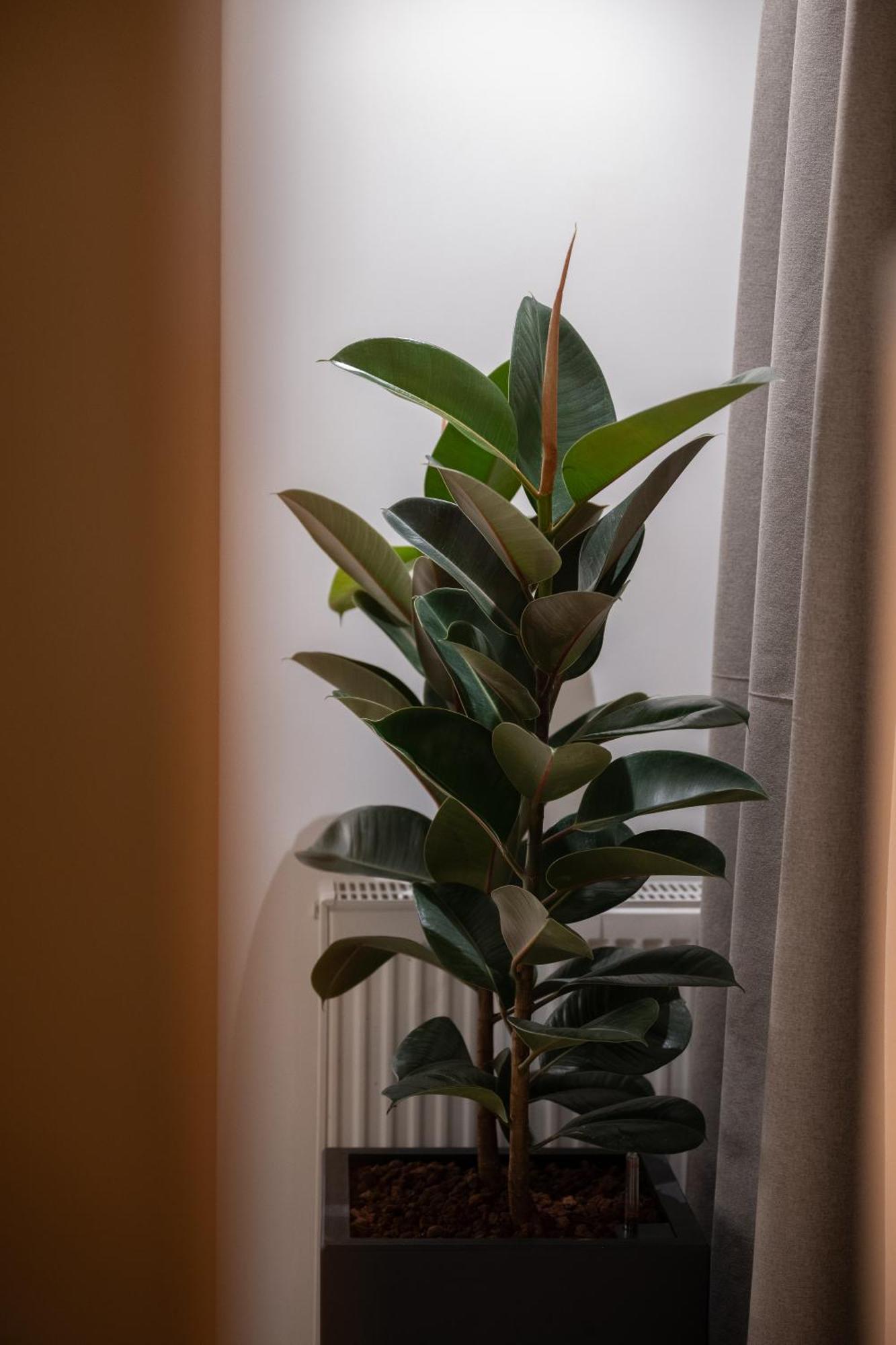 37 2 Heaven Apartment Naxos City Ngoại thất bức ảnh